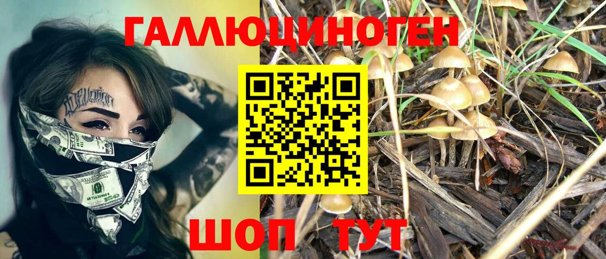 Кисловодск  Псилоцибиновые грибы GOLDEN TEACHER  Вход с VPN 