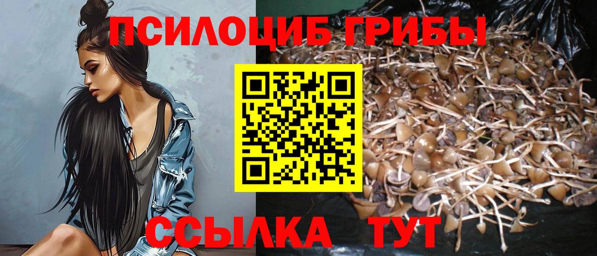 Галлюциногенные грибы Cubensis Кисловодск