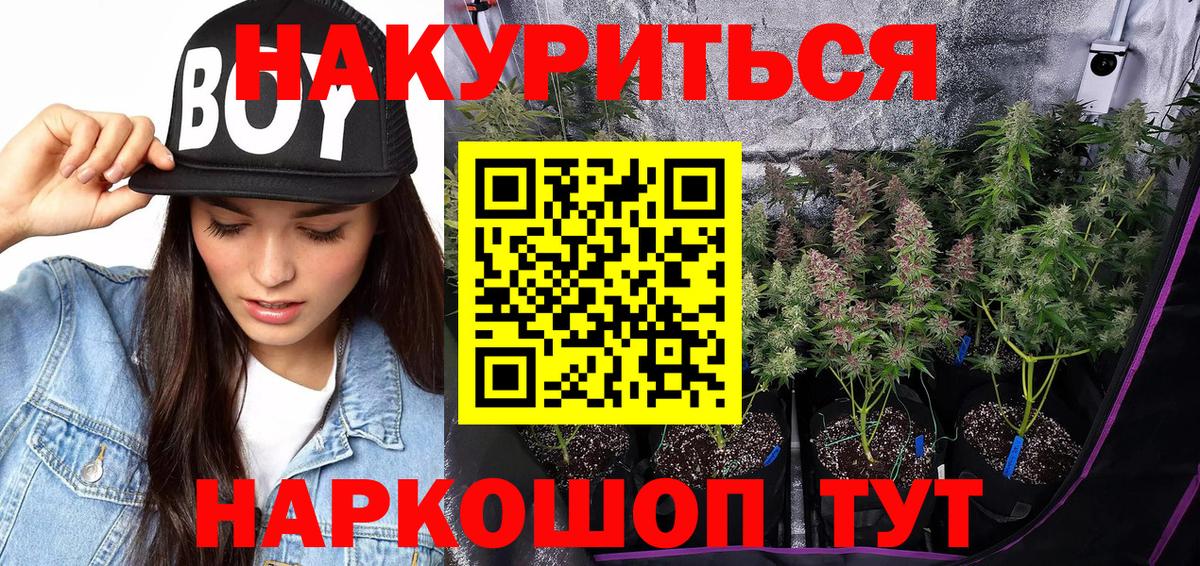 Бошки Шишки марихуана Кисловодск